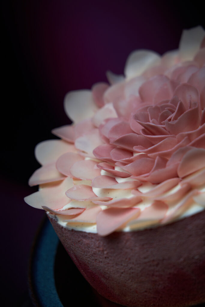 pivoine rose charlotte aux framboises