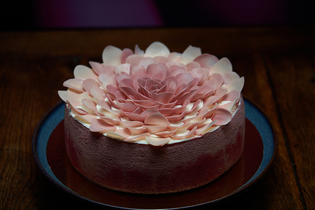 pivoine rose charlotte à la framboise