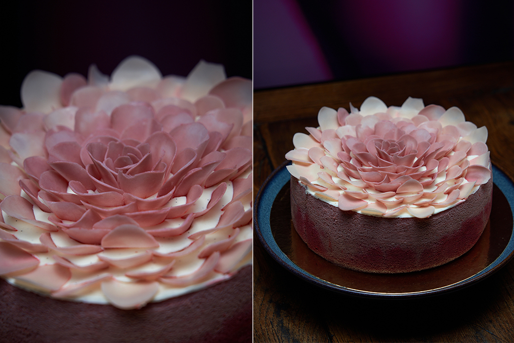Montage 2 photos pivoine rose mousse framboise