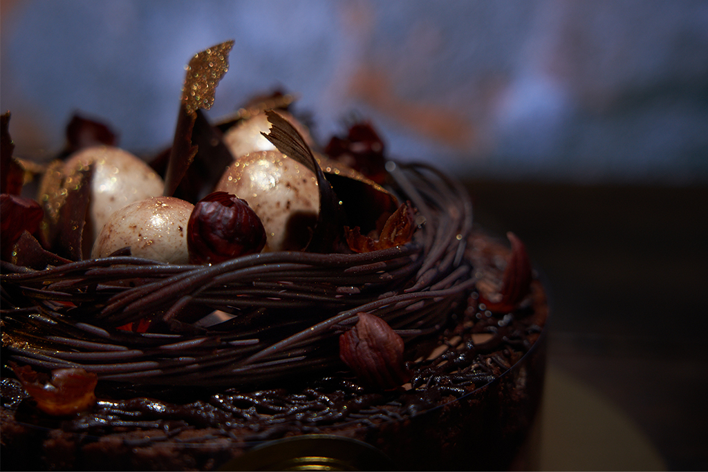 Biscuit et mousse au chocolat du gâteau de Pâques