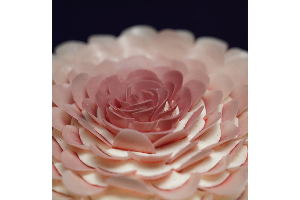 décoration vue du dessus de la pivoine rose à la framboise