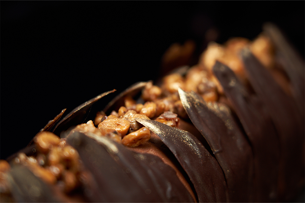 Détail de l'écorce fondante et sa dacquoise noisette sur sa mousse au chocolat