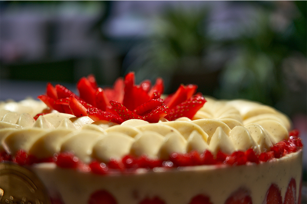 fiche_produit_1024x683 fraisier4
